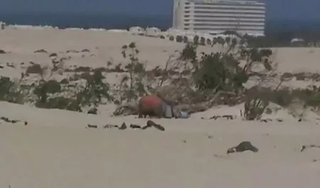 深運指Yanksローレライの愛 ギャル セックス 動画