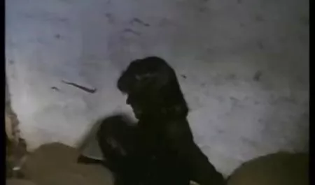 大祖母としてのコックの吸着に乗 海 ナンパ 動画