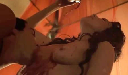 Tera喜び乗馬の牧場