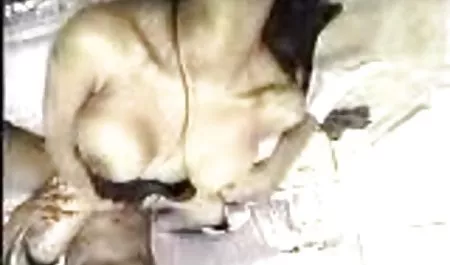 Assman24 カップル はめどり